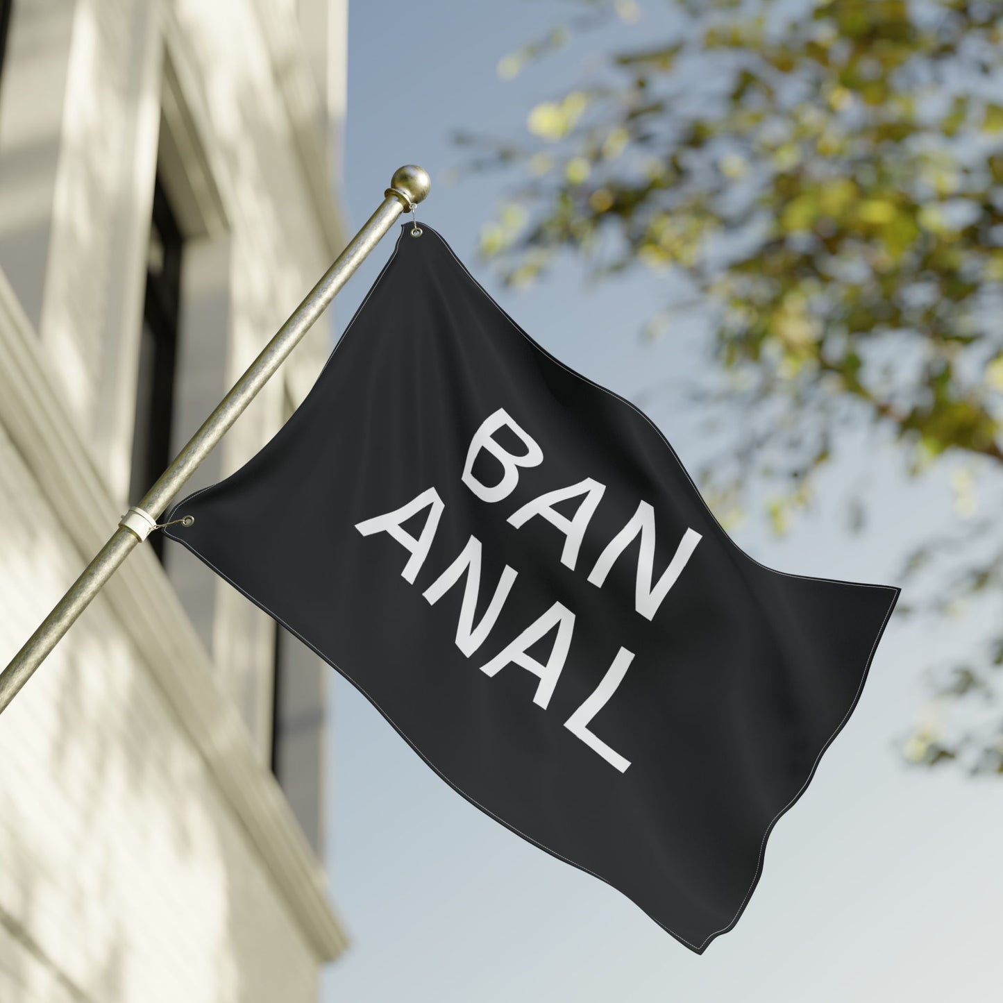 Ban Anal Flag
